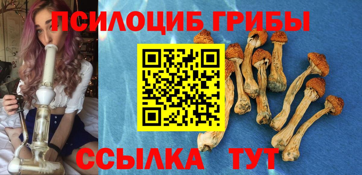 Коммунар  Псилоцибиновые грибы мухоморы  Вход с VPN 
